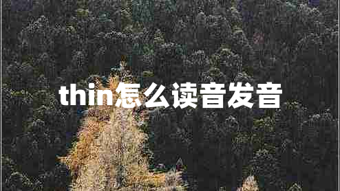 thin怎么读音发音