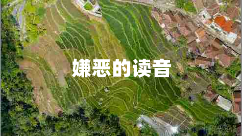 嫌恶的读音 嫌恶的读音