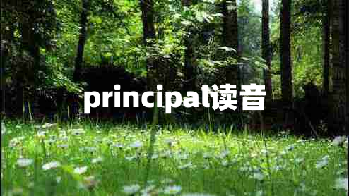 principal读音