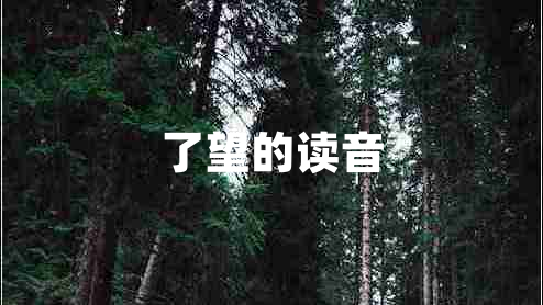 了望的读音