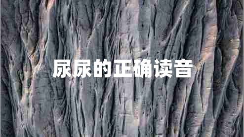 尿尿的正确读音