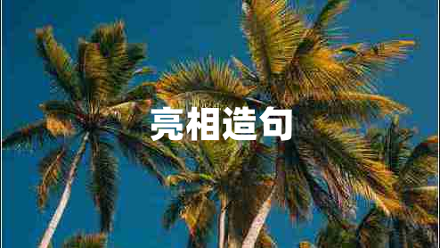 亮相造句