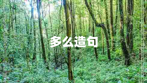 多么造句