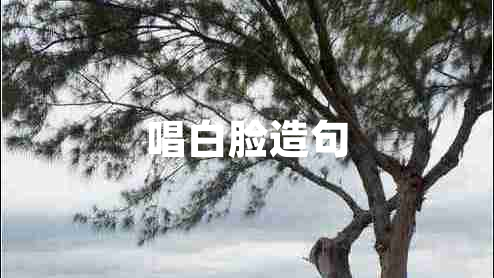 唱白脸造句