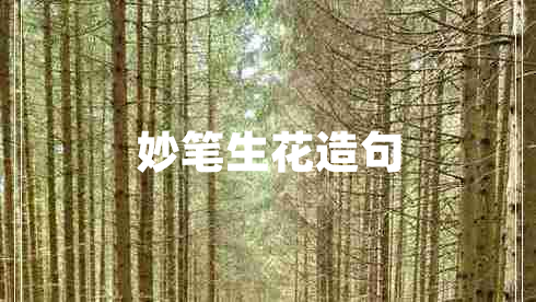 妙笔生花造句