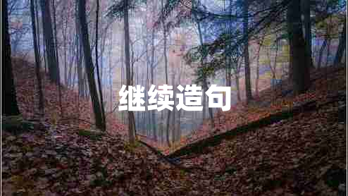 继续造句