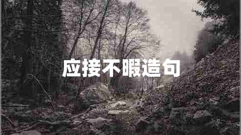 应接不暇造句