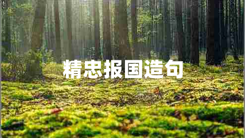 精忠报国造句