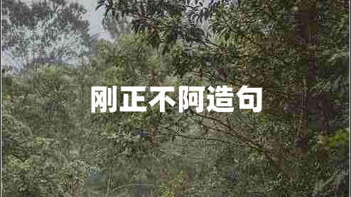 刚正不阿造句