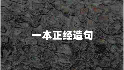 一本正经造句