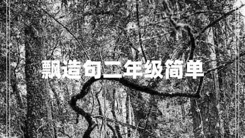 飘造句二年级简单