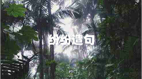 纷纷造句
