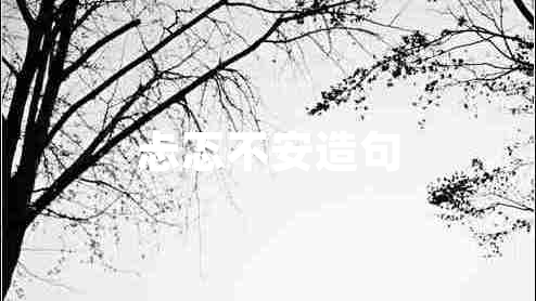 忐忑不安造句