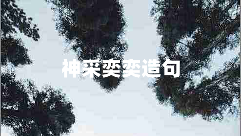 神采奕奕造句
