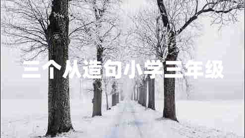 三个从造句小学三年级