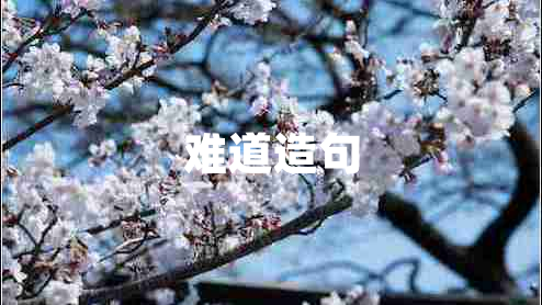 难道造句