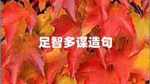 足智多谋造句