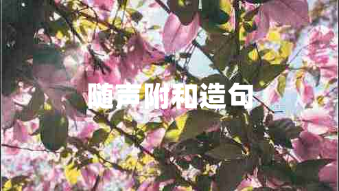 随声附和造句
