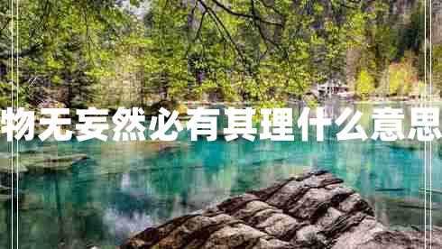 物无妄然必有其理什么意思