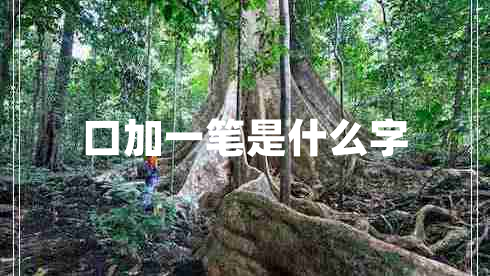 口加一笔是什么字
