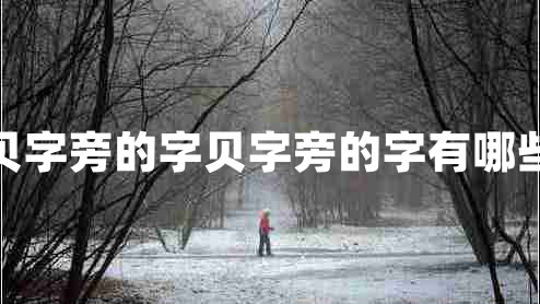 贝字旁的字贝字旁的字有哪些