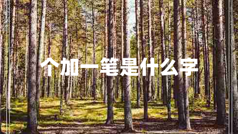 个加一笔是什么字