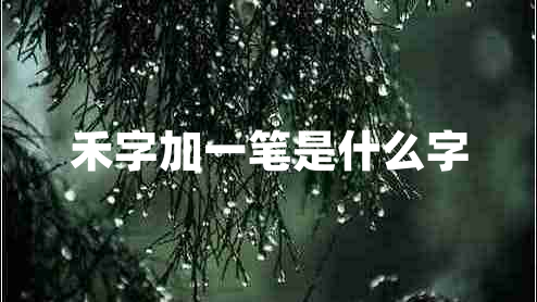禾字加一笔是什么字