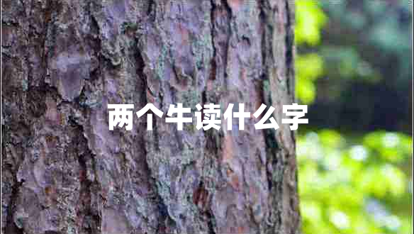 两个牛读什么字