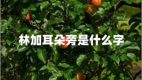 林加耳朵旁是什么字