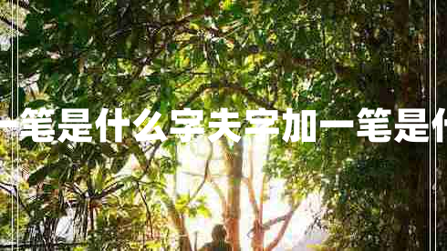夫加一笔是什么字夫字加一笔是什么字
