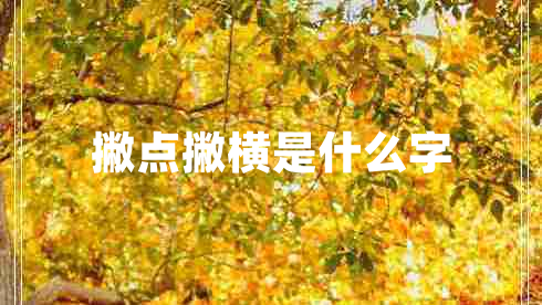 撇点撇横是什么字