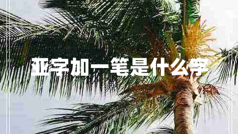 亚字加一笔是什么字