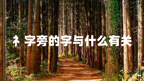 礻字旁的字与什么有关