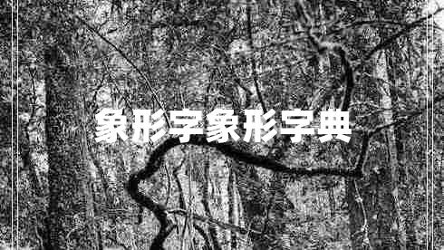 象形字象形字典 象形字象形字典