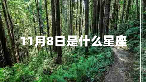 11月8日是什么星座