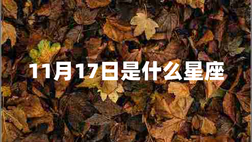 11月17日是什么星座