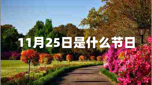 11月25日是什么节日