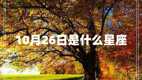 10月26日是什么星座