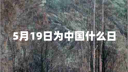 5月19日为中国什么日
