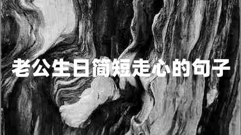 老公生日简短走心的句子