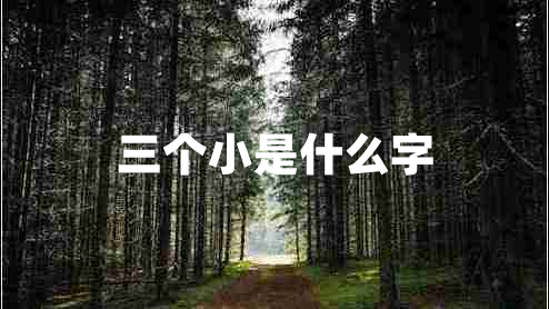 三个小是什么字