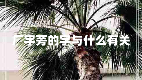 厂字旁的字与什么有关 厂字旁的字与什么有关