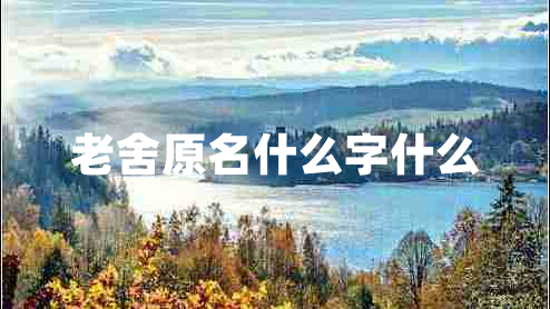 老舍原名什么字什么