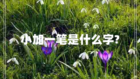 小加一笔是什么字?