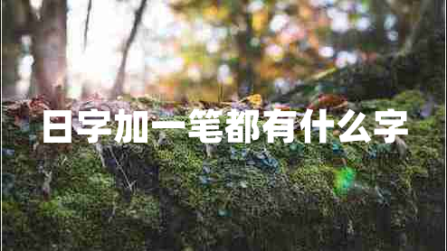 日字加一笔都有什么字