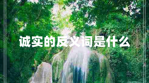 诚实的反义词是什么