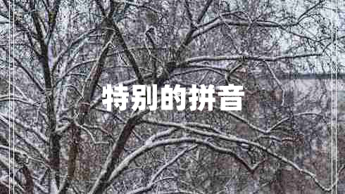 特别的拼音