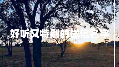 好听又特别的微信名字