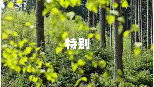 特别