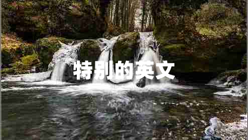 特别的英文 特别的英文